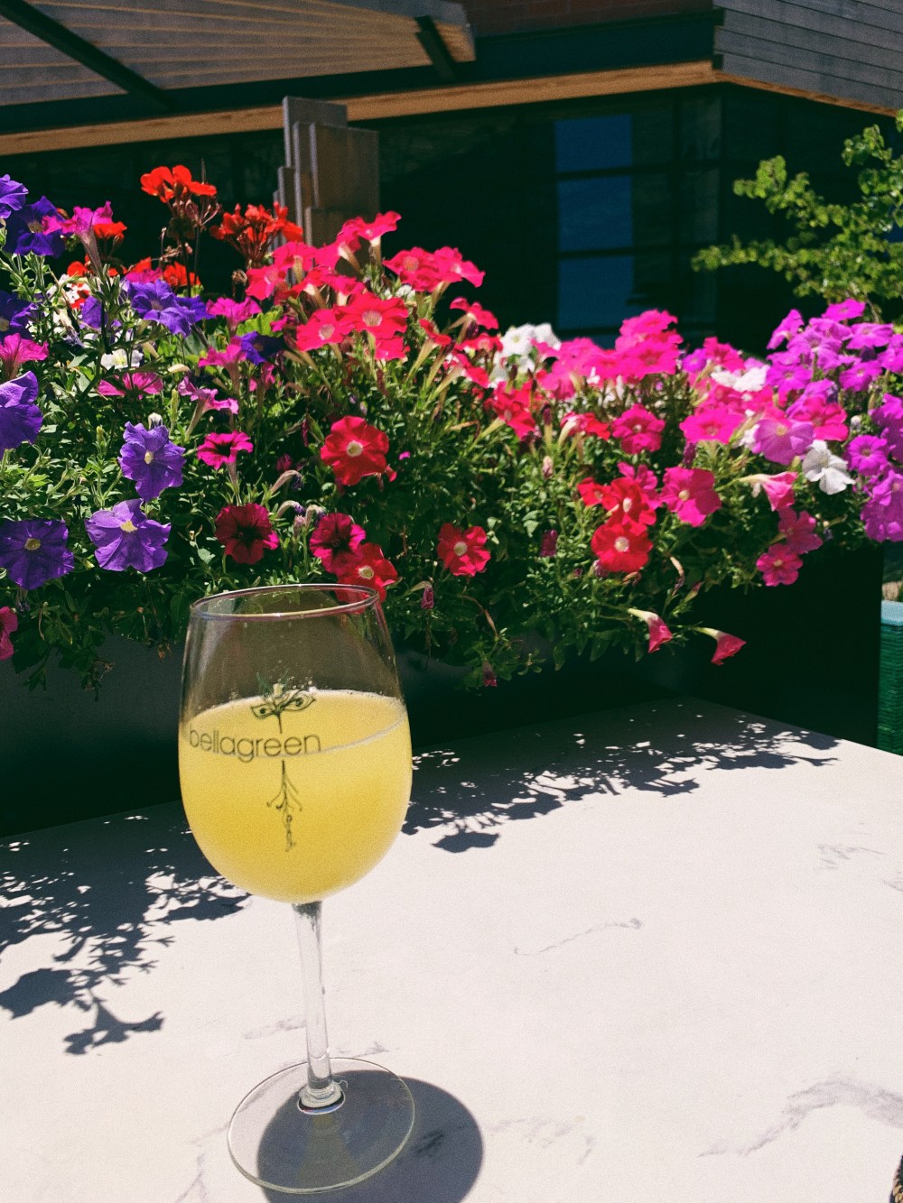 Processed with VSCO with 6 preset