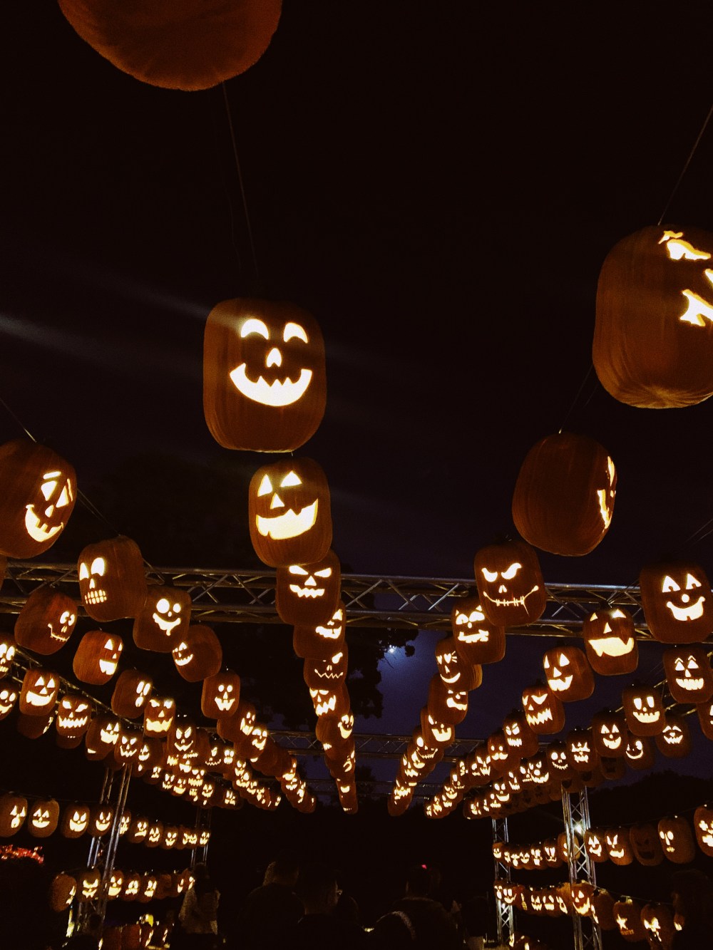 Processed with VSCO with au1 preset