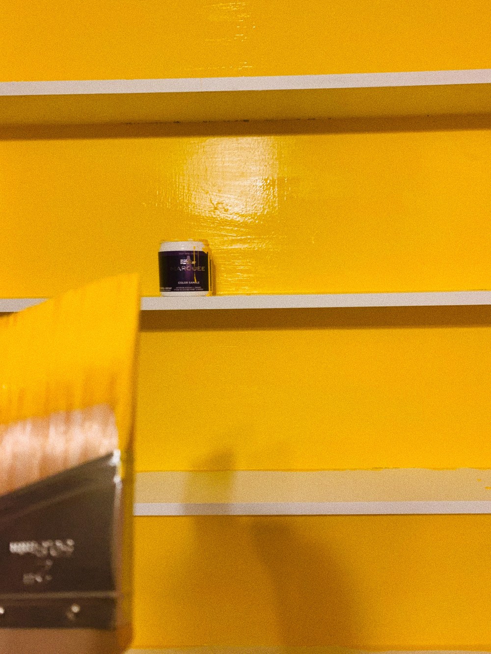 825BDB85-8FC5-4A23-A082-076EE9FC2916