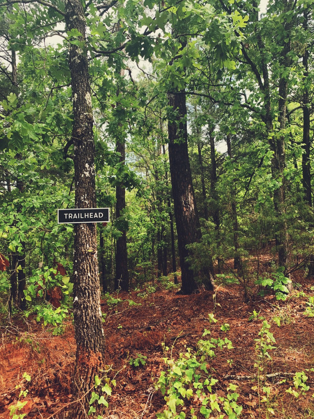 Processed with VSCO with 9 preset