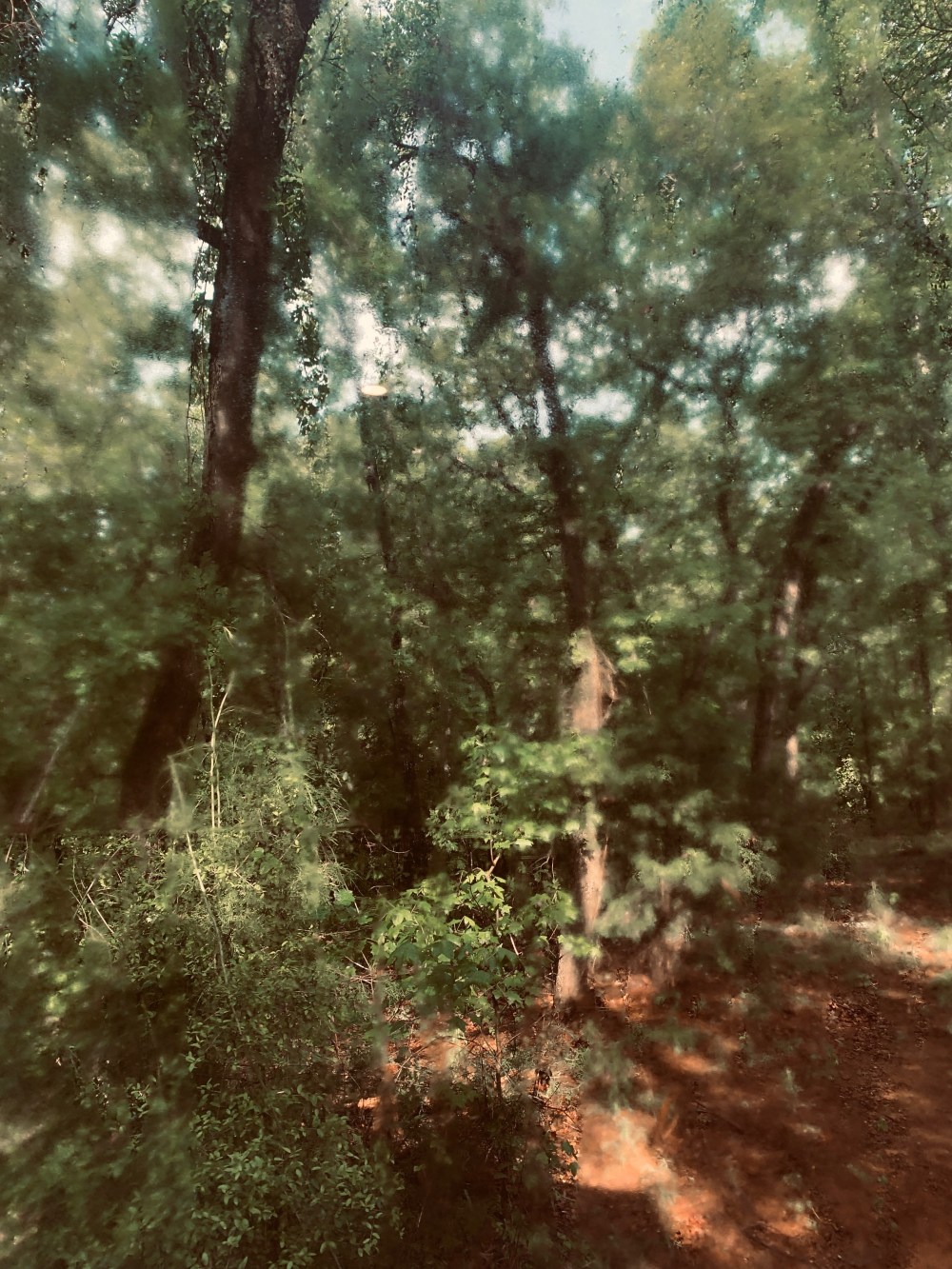 89957281-E730-4010-A901-A7E04B5ED7C4